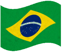 Brazil Flag